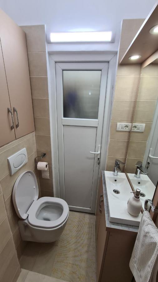 Râmnicu Vâlcea Studio Albert מראה חיצוני תמונה